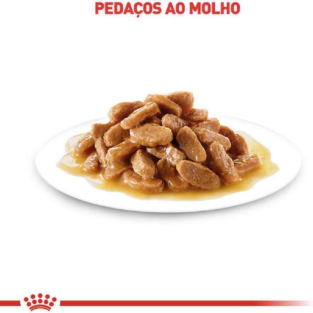Ração Úmida Royal Canin Sachê Bolas de Pelo para Gatos Adultos - 85 g