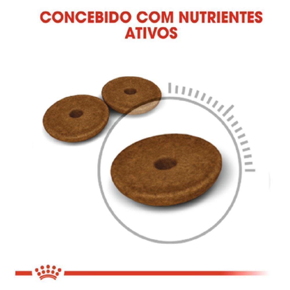 Ração Seca Royal Canin Cuidado Digestivo para Gatos Adultos - 1,5 Kg