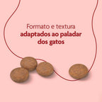 Ração Seca Royal Canin Super Premium Cat para Gatos Adultos Castrados - 10,1kgs