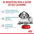 Ração Seca Royal Canin Medium Puppy para Cães Filhotes de Porte Médio - 2,5 Kg