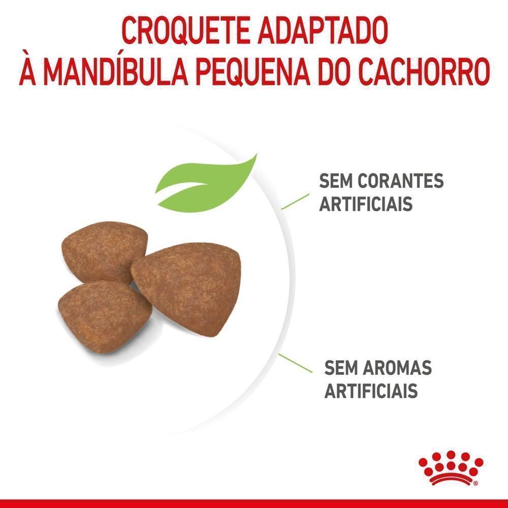 Ração Seca Royal Canin Mini Puppy para Cães Filhotes de Porte Pequeno - 2,5 Kg