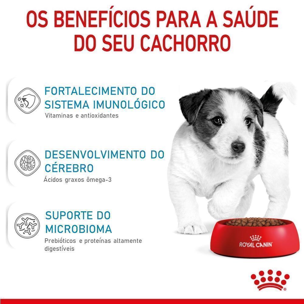 Ração Seca Royal Canin Mini Puppy para Cães Filhotes de Porte Pequeno - 2,5 Kg