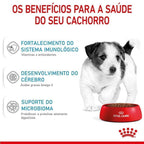 Ração Seca Royal Canin Mini Puppy para Cães Filhotes de Porte Pequeno - 2,5 Kg