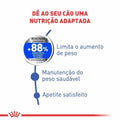Ração Seca Royal Canin Mini Light Cães Adultos de Porte Pequeno com Tendência a Obesidade - 2,5 Kg