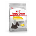 Ração Seca Royal Canin Mini Dermacomfort para Cães Adultos ou Idosos de Porte Pequeno - 2,5 Kg