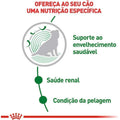 Ração Úmida Royal Canin Sachê Mini Ageing 12+ para Cães Idosos de Porte Pequeno com 12 Anos ou mais - 85 g