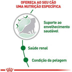 Ração Úmida Royal Canin Sachê Mini Ageing 12+ para Cães Idosos de Porte Pequeno com 12 Anos ou mais - 85 g