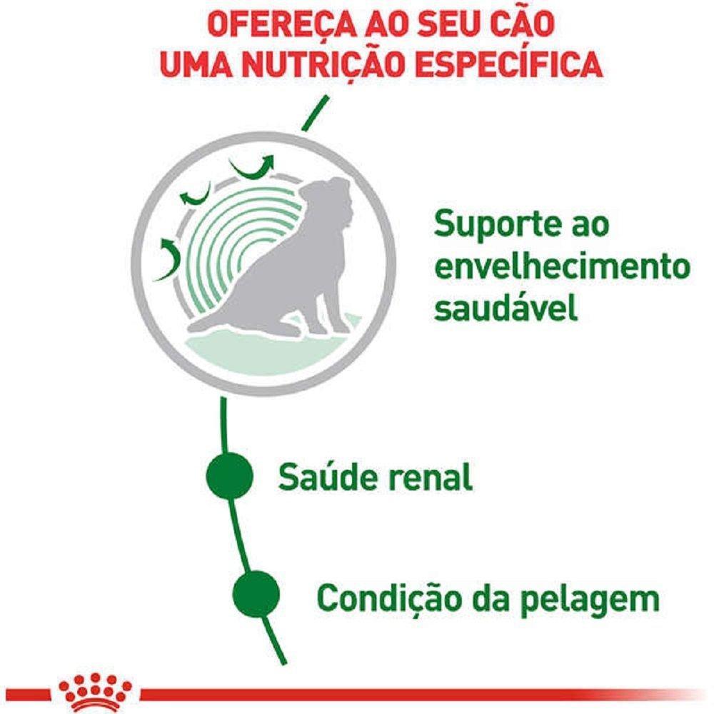 Ração Úmida Royal Canin Sachê Mini Ageing 12+ para Cães Idosos de Porte Pequeno com 12 Anos ou mais - 85 g