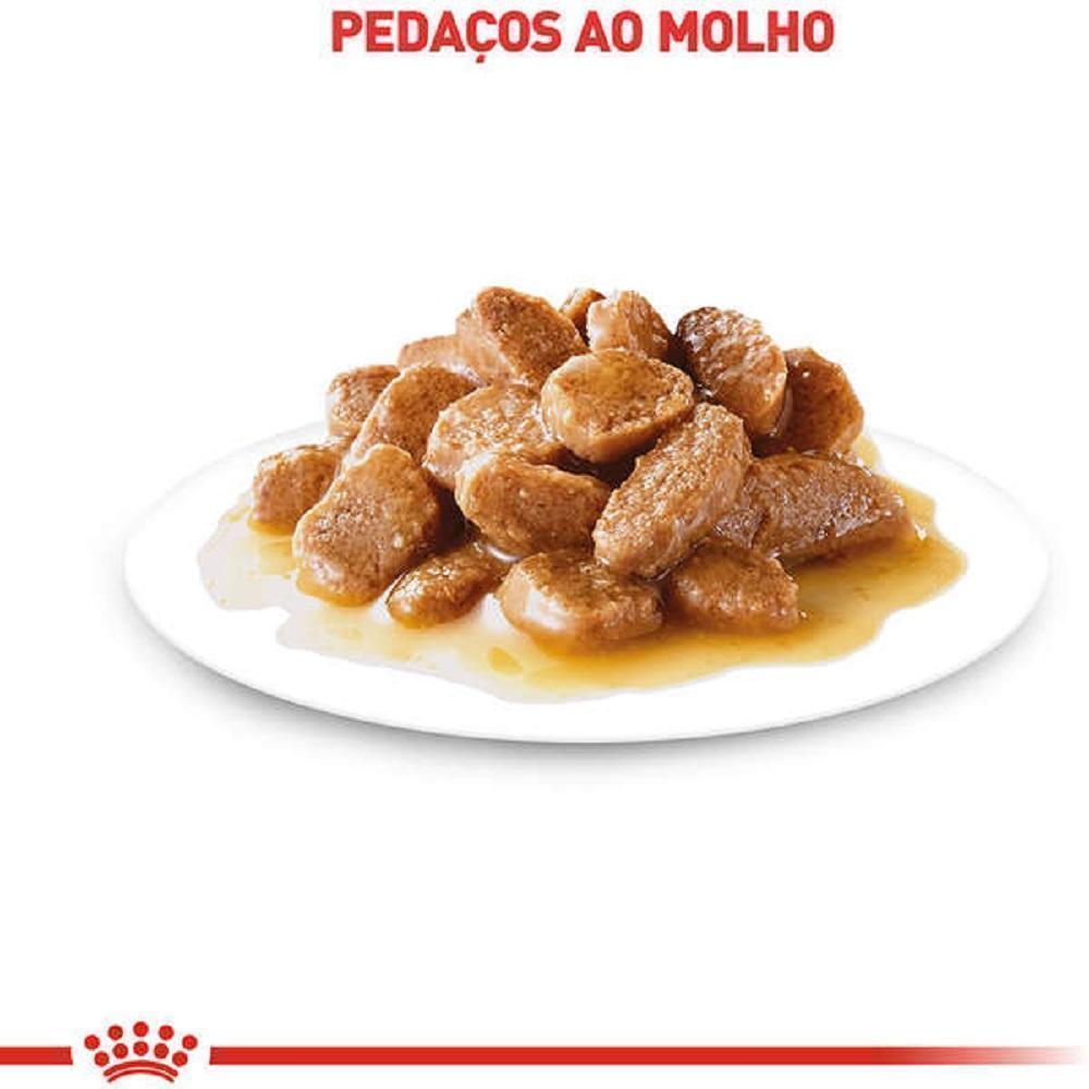 Ração Úmida Royal Canin Sachê Mini Ageing 12+ para Cães Idosos de Porte Pequeno com 12 Anos ou mais - 85 g