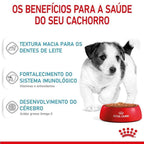 Ração Úmida Royal Canin Sachê Mini Puppy para Cães Filhotes de Porte Pequeno - 85 g
