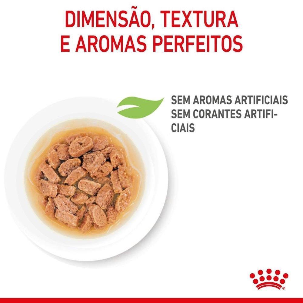 Ração Úmida Royal Canin Sachê Mini Puppy para Cães Filhotes de Porte Pequeno - 85 g