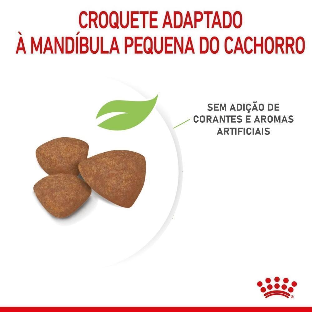 Ração Seca Royal Canin Mini Indoor Puppy para Cães Filhotes de Porte Pequeno- 2,5 Kg