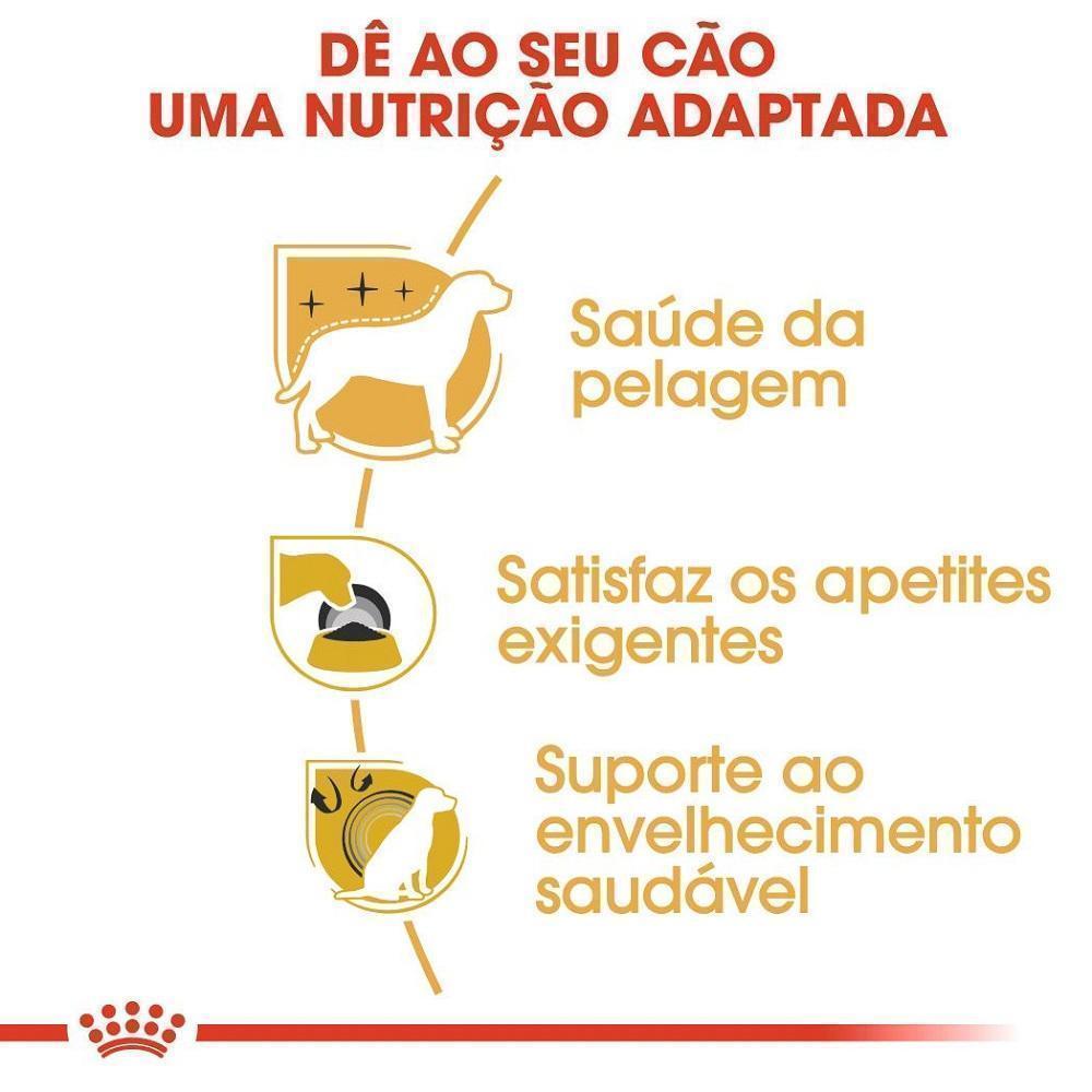 Ração Seca Royal Canin para Cães Adultos da Raça Yorkshire - 2,5 Kg