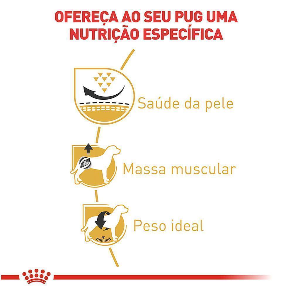 Ração Seca Royal Canin para Cães Adultos da Raça Pug - 2,5 Kg