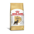 Ração Seca Royal Canin Miniature para Cães Adultos da Raça Schnauzer - 2,5 Kg