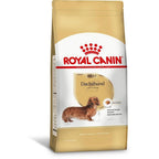 Ração Seca Royal Canin para Cães Adultos da Raça Dachshund - 2,5 Kg