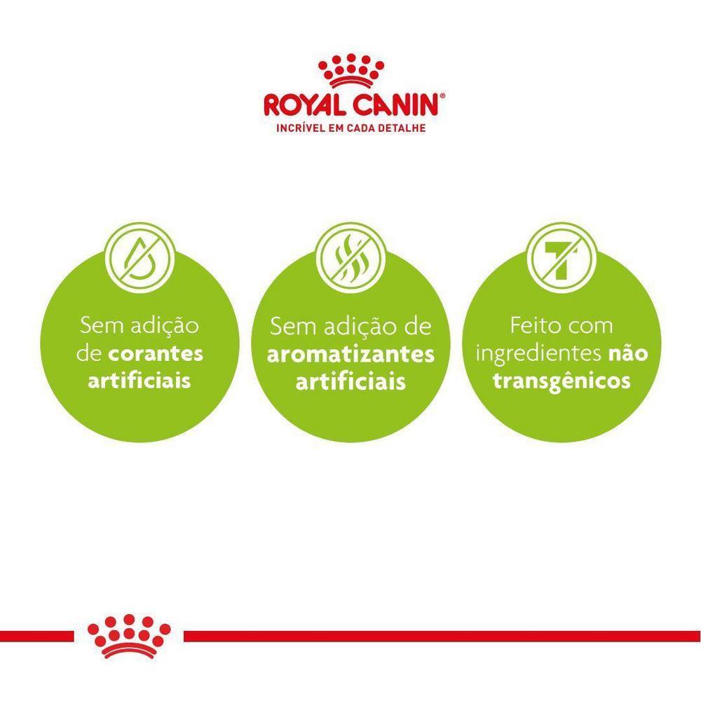 Ração Seca Royal Canin para Cães Adultos da Raça Dachshund - 2,5 Kg