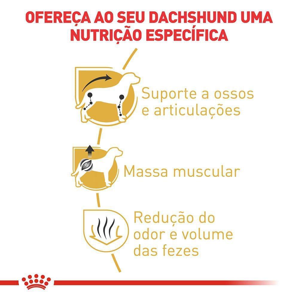 Ração Seca Royal Canin para Cães Adultos da Raça Dachshund - 2,5 Kg