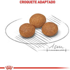 Ração Seca Royal Canin X-Small Adult 8+ para Cães Adultos e Idosos de Porte Miniatura com 8 Anos ou mais - 2,5 Kg