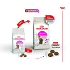 Ração Seca Royal Canin Exigent para Gatos Adultos com Paladar Exigente - 4 Kg