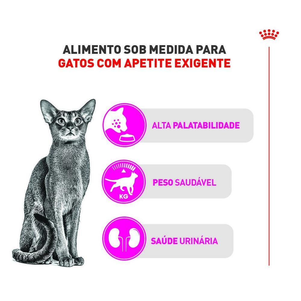 Ração Seca Royal Canin Exigent para Gatos Adultos com Paladar Exigente - 4 Kg