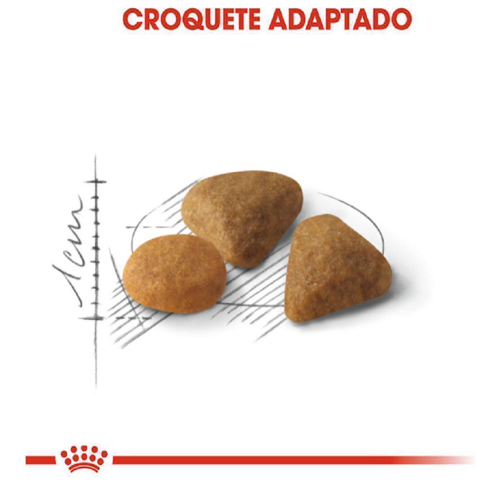 Ração Seca Royal Canin Exigent para Gatos Adultos com Paladar Exigente - 4 Kg