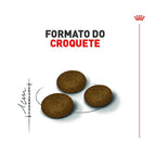 Ração Seca Royal Canin Exigent para Gatos Adultos com Paladar Exigente - 4 Kg