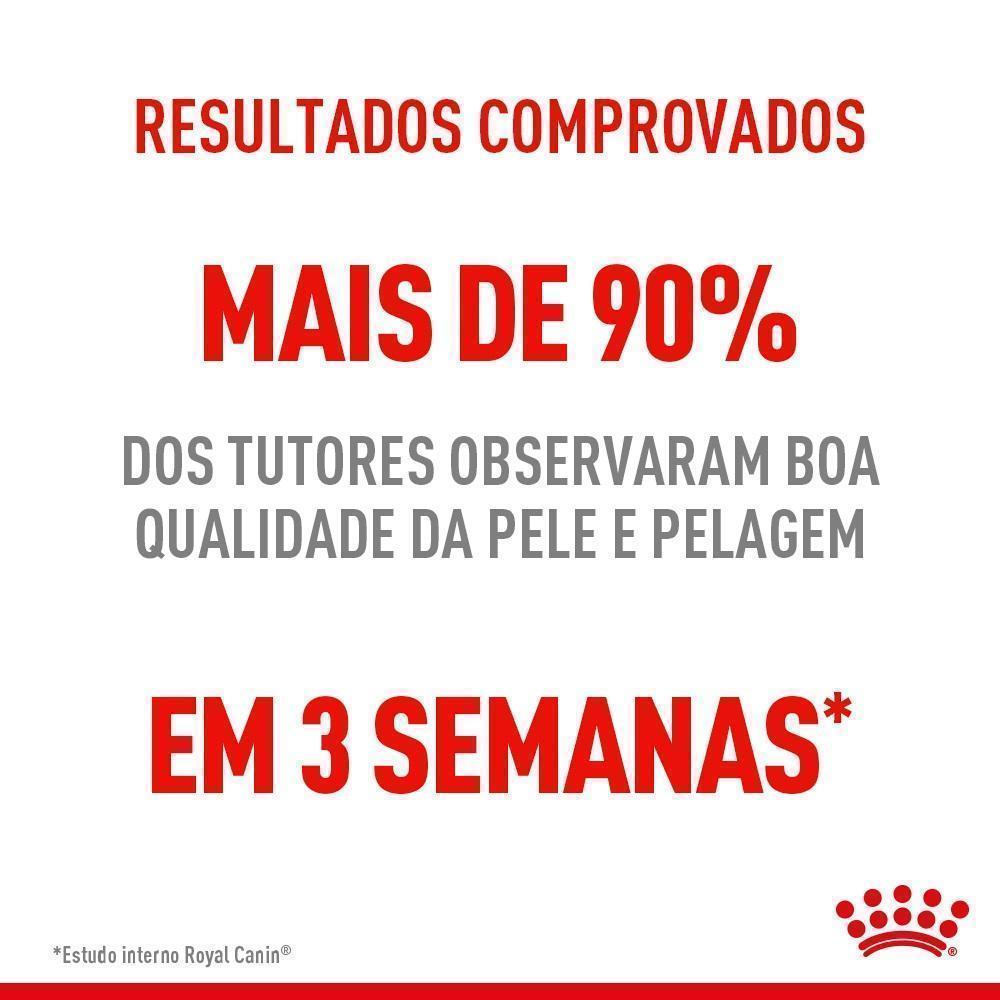 Ração Seca Royal Canin Pele & Pelagem para Gatos Adultos - 400 g