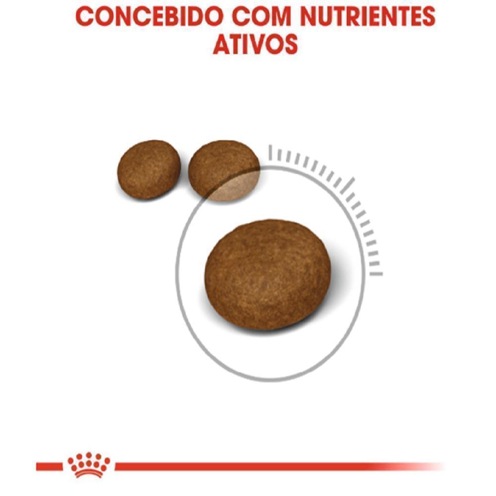 Ração Seca Royal Canin Pele & Pelagem para Gatos Adultos - 400 g