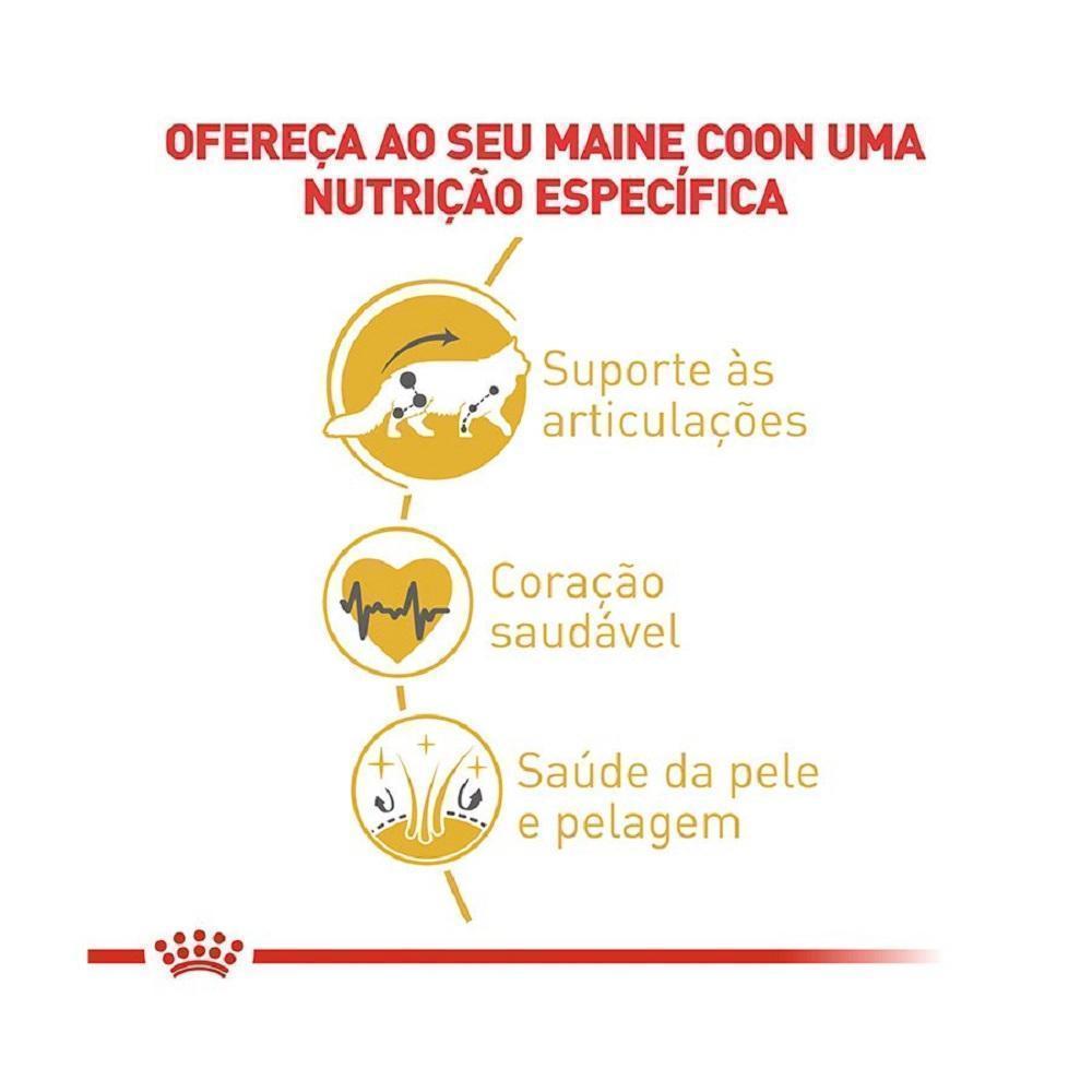 Ração Seca Royal Canin Gatos Adultos da Raça Maine Coon - 4 Kg
