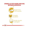 Ração Seca Royal Canin Gatos Adultos da Raça Maine Coon - 4 Kg