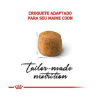 Ração Seca Royal Canin Gatos Adultos da Raça Maine Coon - 4 Kg