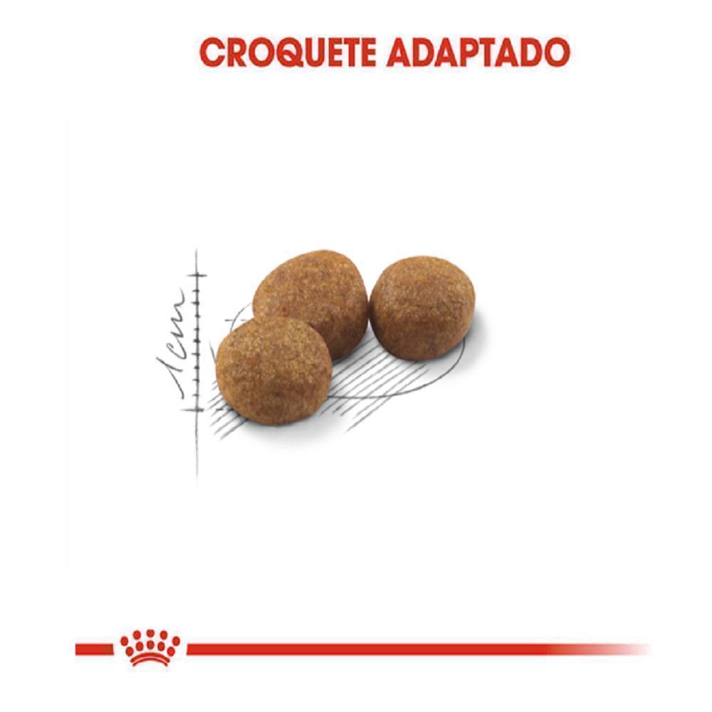 Ração Seca Royal Canin para Gatos Adultos Castrados - 4 Kg