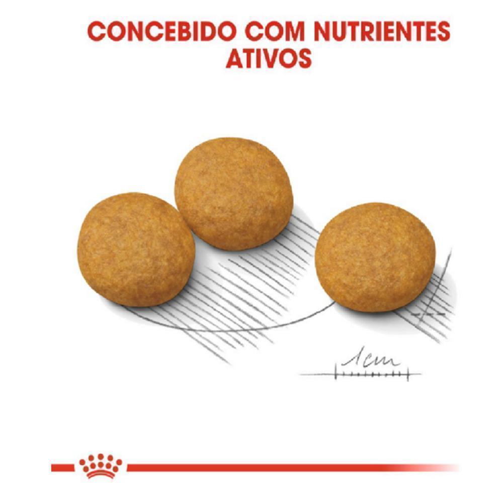 Ração Seca Royal Canin Medium Dermacomfort para Cães Adultos ou Idosos de Porte Médio - 2,5 Kg