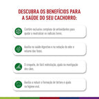 Ração Seca Royal Canin Mini Indoor Senior para Cães Idosos de Porte Pequeno com 8 Anos ou mais - 7,5 Kg