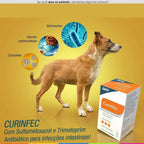 Antibiótico Provets Curinfec para Cães e Gatos