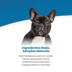 Vet Life Hypoallergenic para Cães Adultos de Raças Mini e Pequenas 10,1Kg