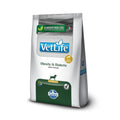 Vet Life Diabetic para Cães Adultos de Raças Mini e Pequenas 10,1Kg