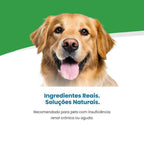 Vet Life Renal para Cães Adultos de Todas as Raças 2Kg