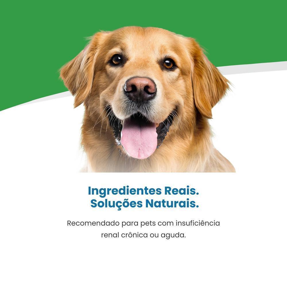 Vet Life Renal para Cães Adultos de Todas as Raças 2Kg