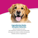 Vet Life Urinary Struvite para Cães Adultos de Todas as Raças 10,1Kg