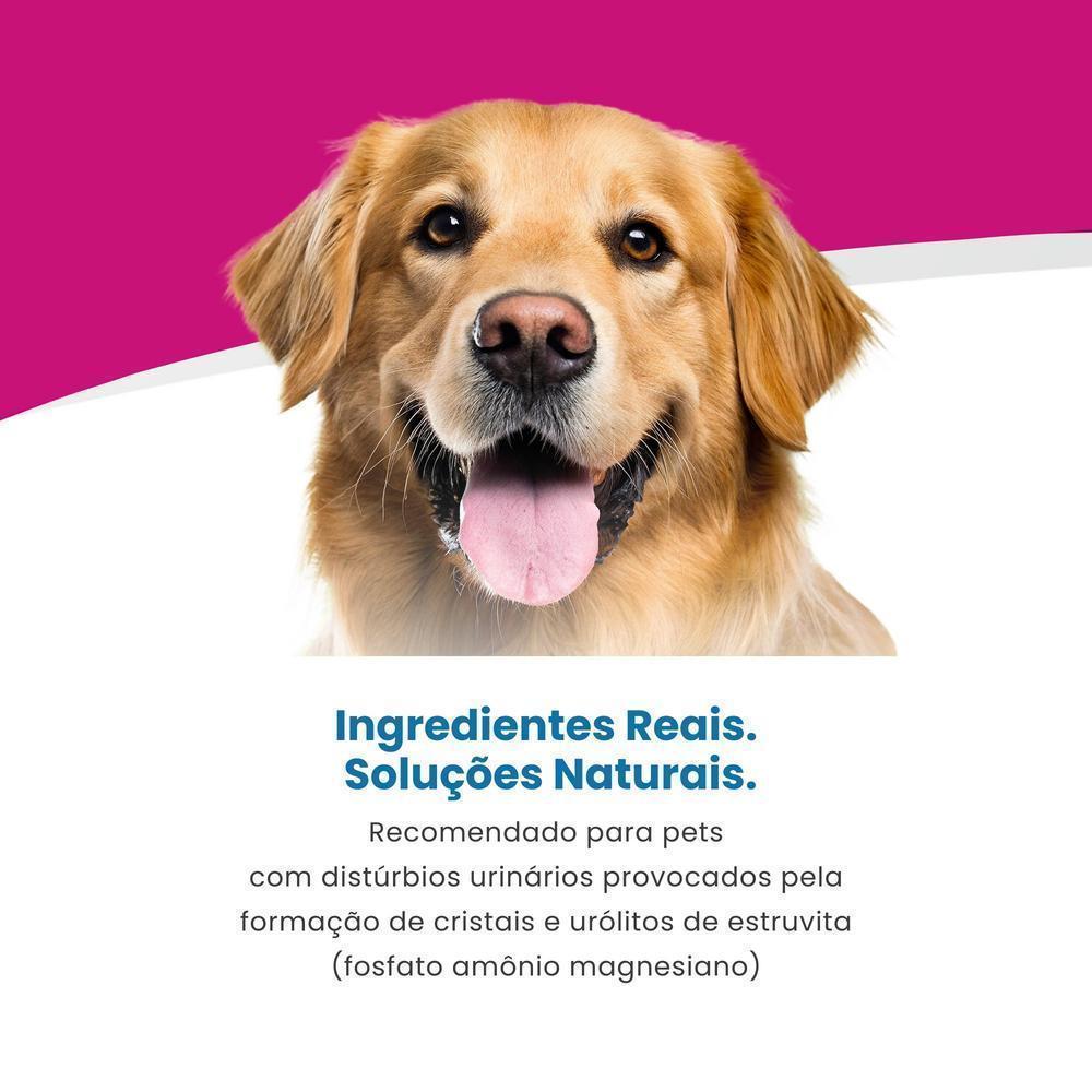 Vet Life Urinary Struvite para Cães Adultos de Todas as Raças 10,1Kg