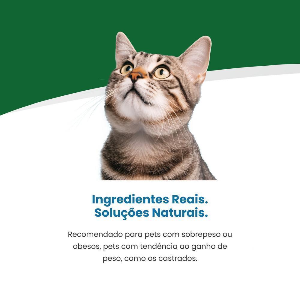 Vet Life Obesity para Gatos Adultos de Todas as Raças 2Kg