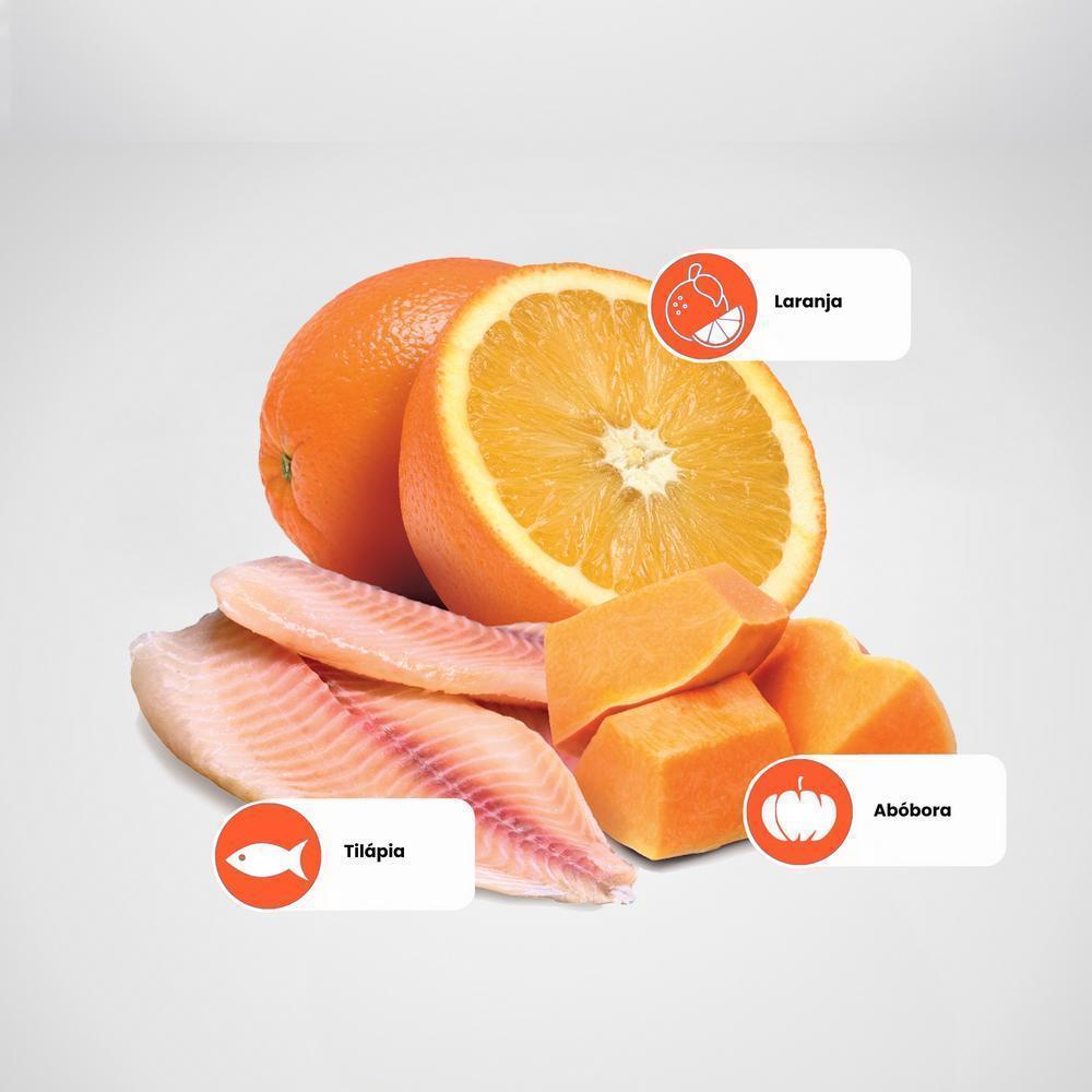N&D Pumpkin para Gatos Adultos de Todas as Raças Sabor Tilápia, Abóbora e Laranja 1,5Kg