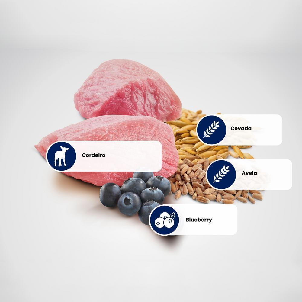 N&D Ancestral para Gatos Adultos de Todas as Raças Sabor Cordeiro, Blueberry, Aveia e Cevada 400g