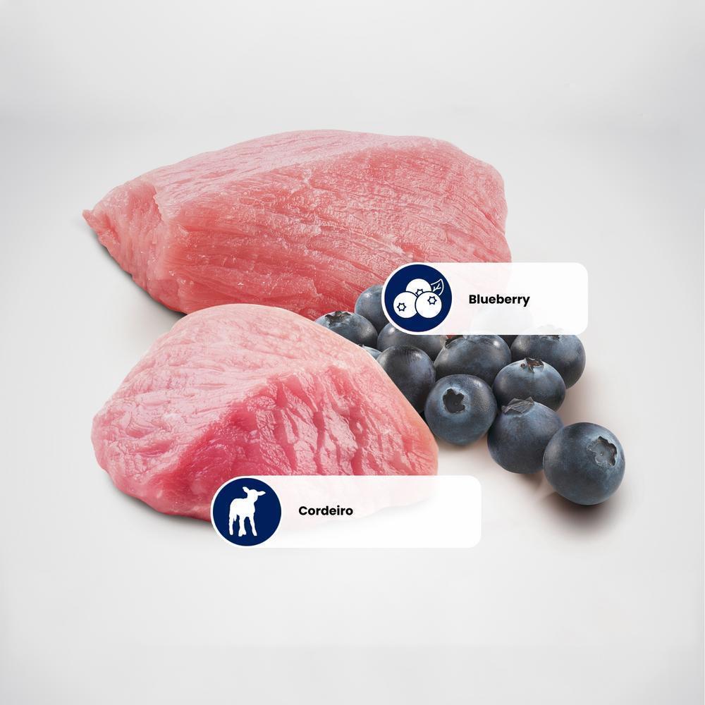 N&D Prime para Cães Adultos de Raças Mini e Pequenas Sabor Cordeiro e Blueberry 10,1Kg