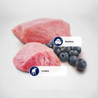 N&D Prime para Cães Adultos de Raças Mini e Pequenas Sabor Cordeiro e Blueberry 10,1Kg