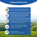 N&D Prime para Cães Adultos de Raças Médias Sabor Frango e Romã 10,1Kg