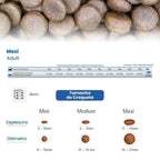 N&D Pumpkin para Cães Adultos de Raças Grandes e Gigantes Sabor Cordeiro, Abóbora e Blueberry 10,1Kg