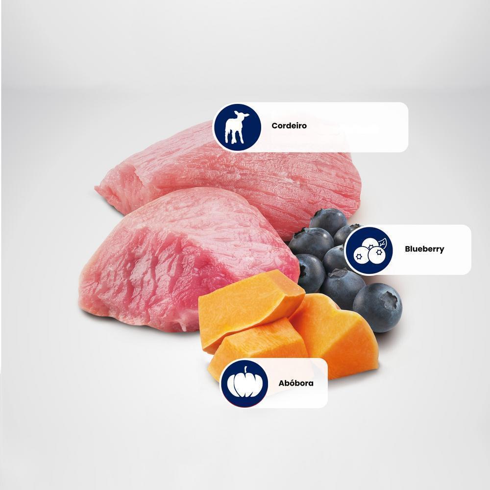 N&D Pumpkin para Cães Adultos de Raças Mini e Pequenas Sabor Cordeiro, Abóbora e Blueberry 800g